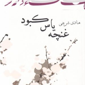 غنچه یاس کبود
