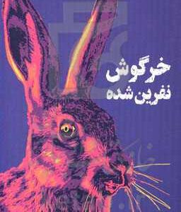 خرگوش نفرین شده