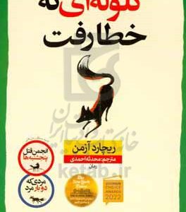 گلوله ای که خطا رفت