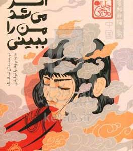 اگر می‌شد من را ببینی