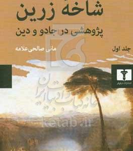 شاخه زرین: پژوهشی در جادو و دین، جادوگری و تحول و تکامل پادشاهان