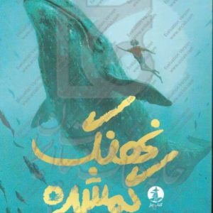 نهنگ گم‌شده