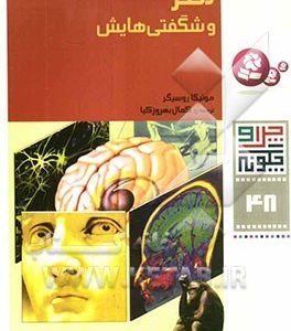 مغز و شگفتی هایش