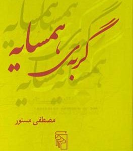 گربه ی همسایه