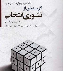 گزیده ای از تئوری انتخاب