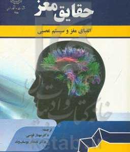 حقایق مغز: الفبای مغز و سیستم عصبی
